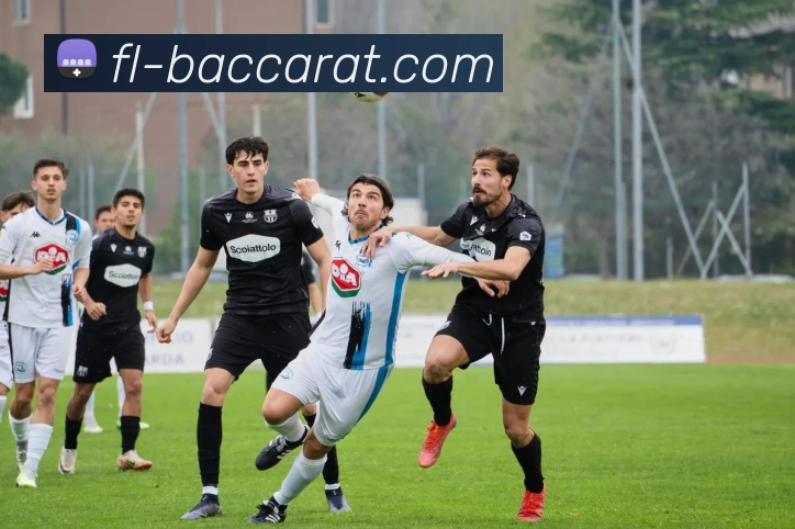 百家乐官网APP 封面图